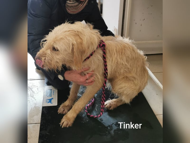 Ein hübscher Kerl mit wunderbarem Charakter……….