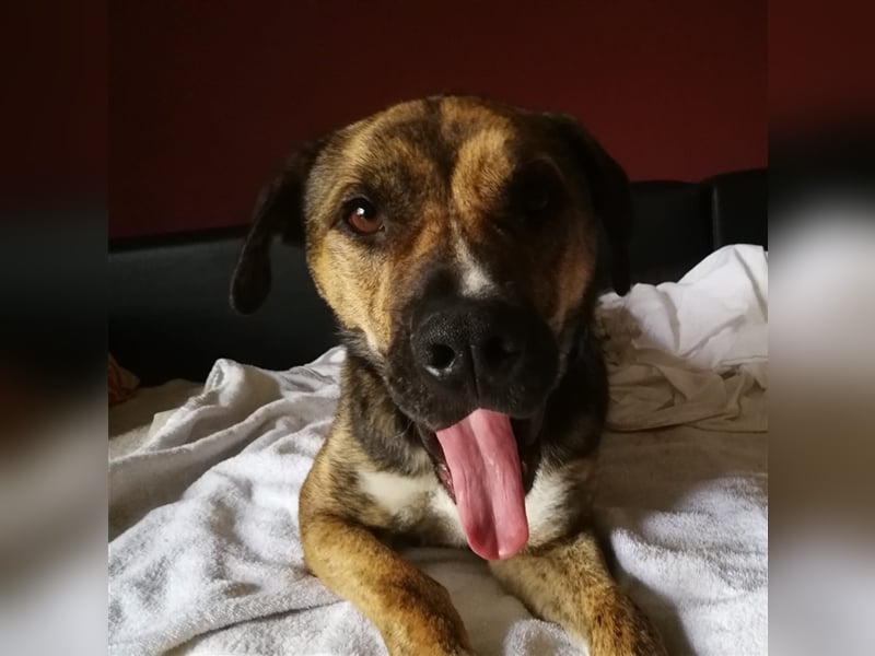 Lee; zauberhafte, unsichere Seele auf der Suche nach Geborgenheit!