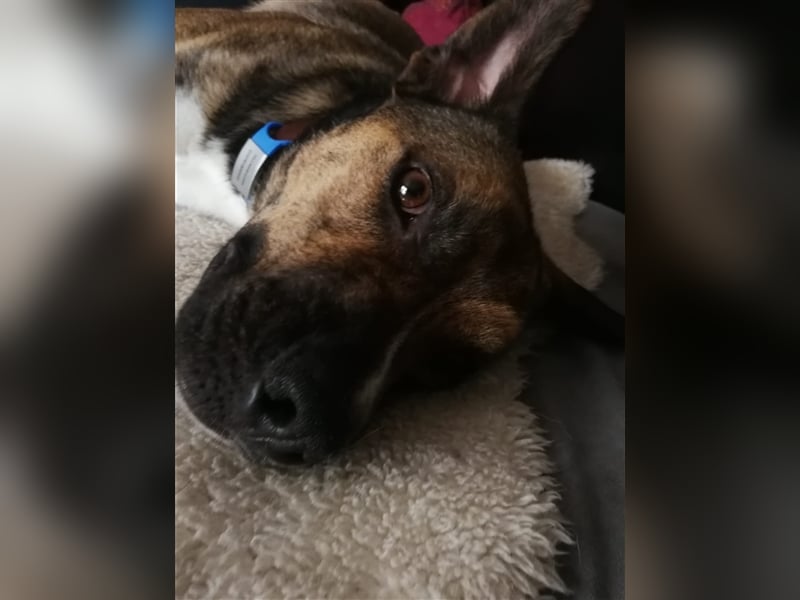 Lee; zauberhafte, unsichere Seele auf der Suche nach Geborgenheit!