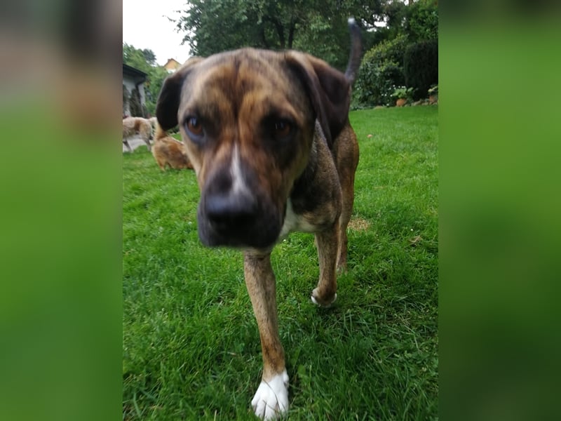 Lee; zauberhafte, unsichere Seele auf der Suche nach Geborgenheit!