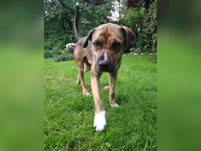 Lee; zauberhafte, unsichere Seele auf der Suche nach Geborgenheit!