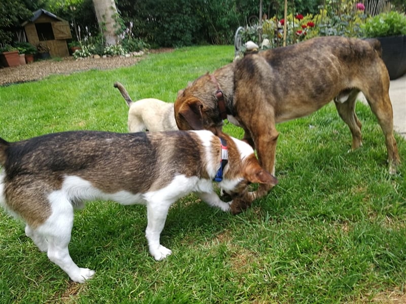 Lee; zauberhafte, unsichere Seele auf der Suche nach Geborgenheit!