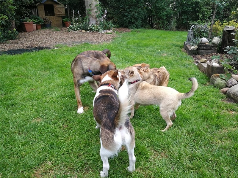 Lee; zauberhafte, unsichere Seele auf der Suche nach Geborgenheit!