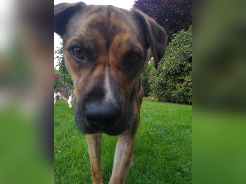 Lee; zauberhafte, unsichere Seele auf der Suche nach Geborgenheit!