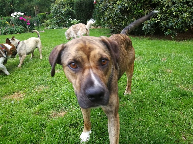 Lee; zauberhafte, unsichere Seele auf der Suche nach Geborgenheit!