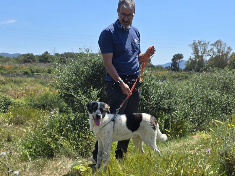 Cassian: er liebt spielen und kuscheln