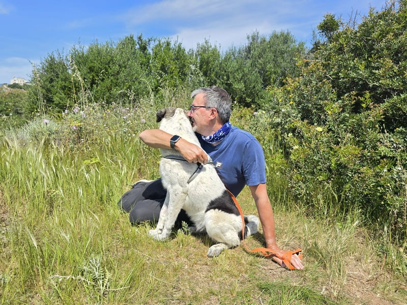 Cassian: er liebt spielen und kuscheln