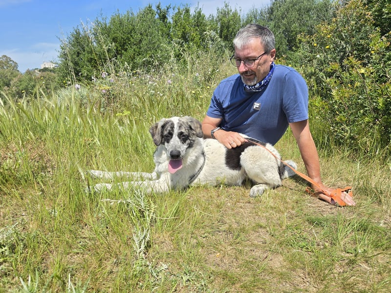 Cassian: er liebt spielen und kuscheln