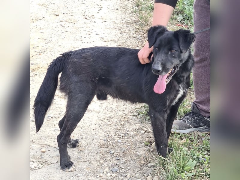 Floyd ein schwarzer Pechvogel