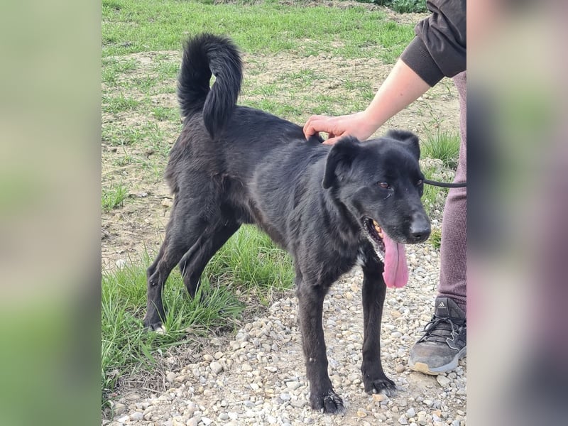 Floyd ein schwarzer Pechvogel