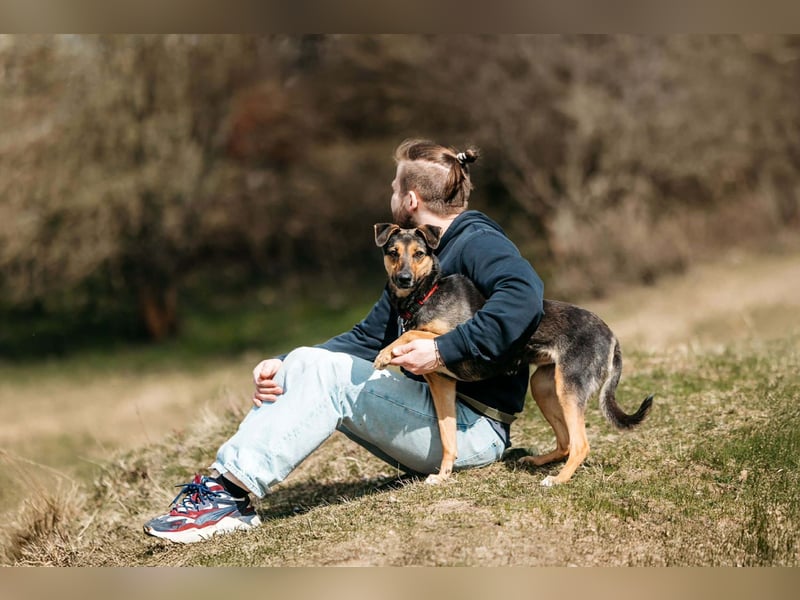 Verspielte Alpha sucht ihr Zuhause