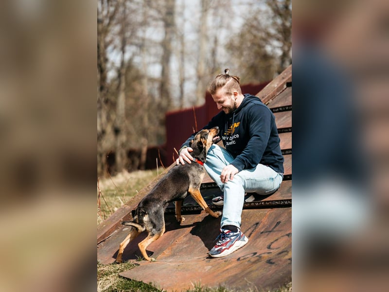 Verspielte Alpha sucht ihr Zuhause