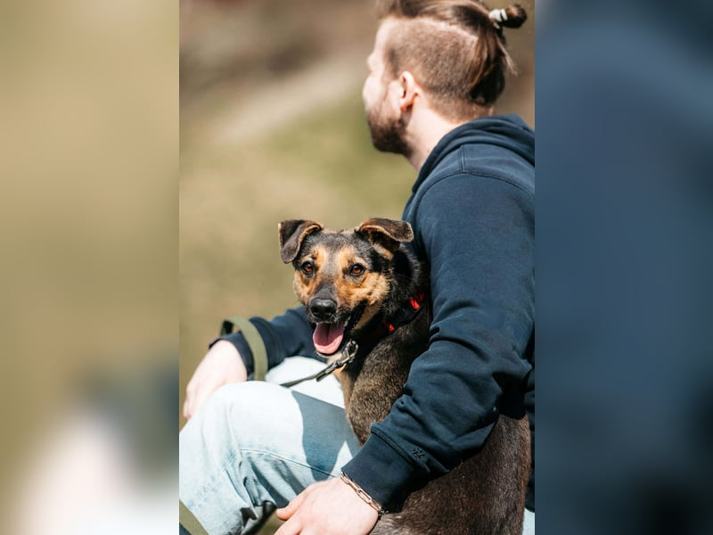 Verspielte Alpha sucht ihr Zuhause