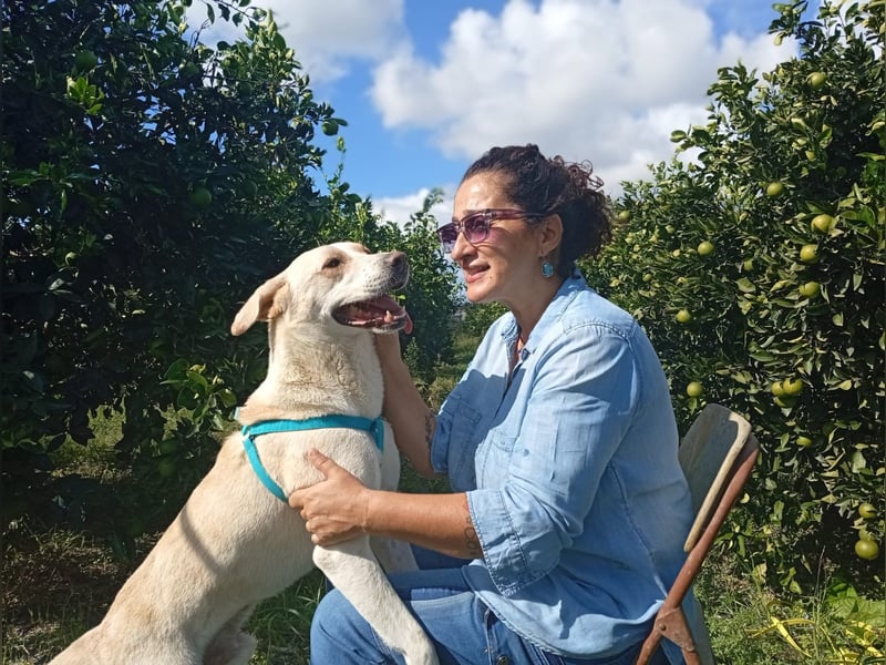 Rüde LUKAS sucht sein Glück