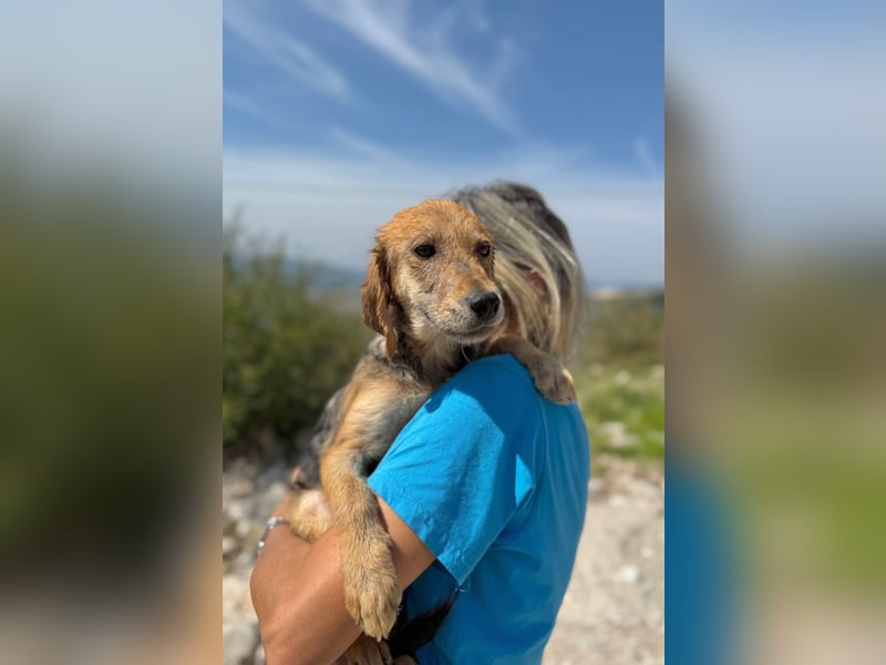 Aimi möchte Teil eurer Familie werden