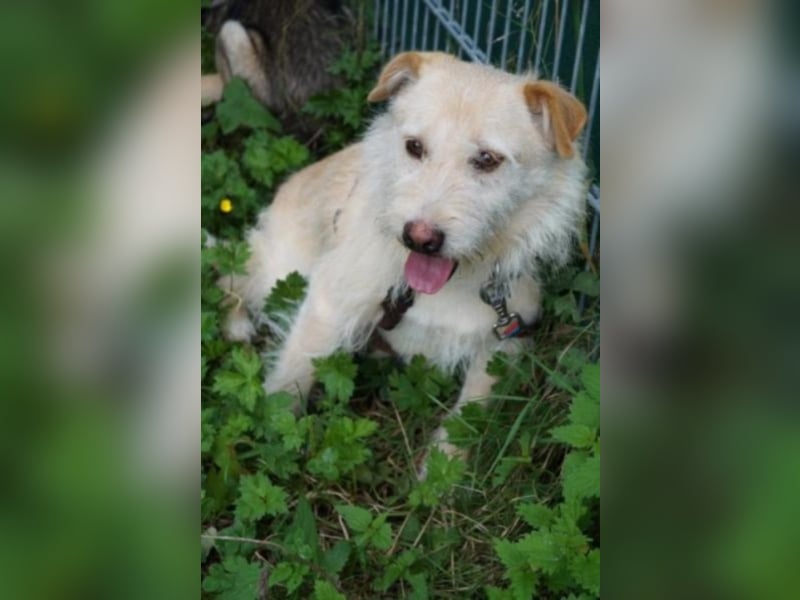 Meghan sucht ihr Glück!