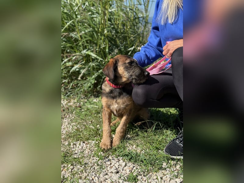 Skadi - jung, neugierig und bereit für ihr eigenes Zuhause