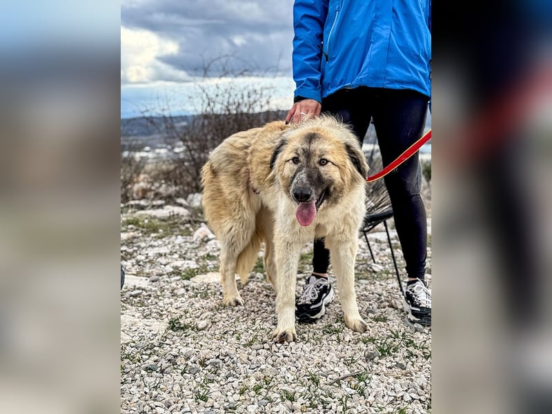 Liesa sucht ihr großes Glück