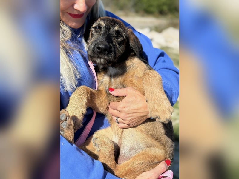 Skadi - jung, neugierig und bereit für ihr eigenes Zuhause