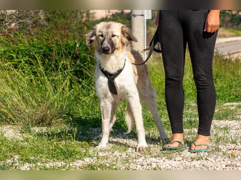 Liesa sucht ihr großes Glück