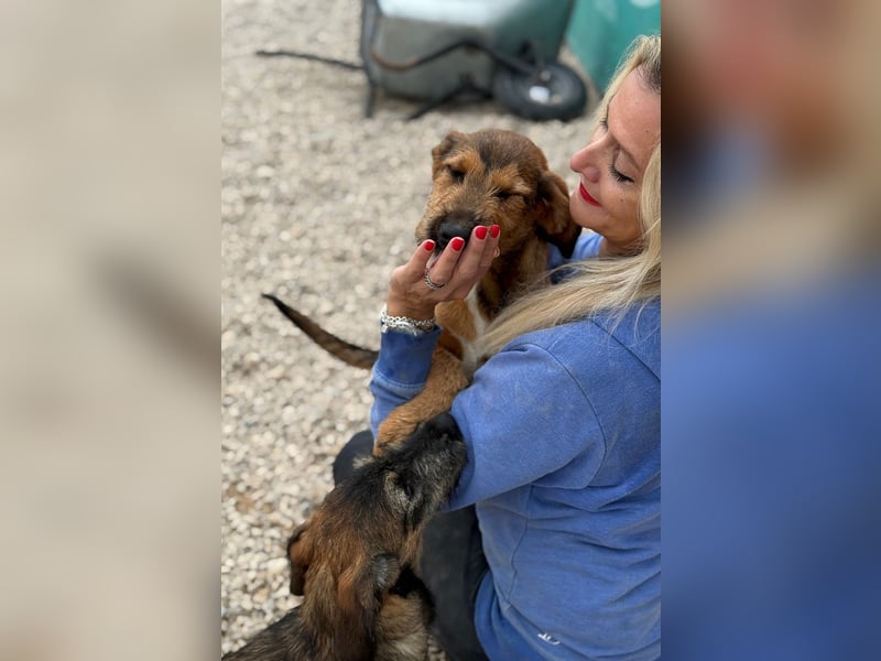 Skadi - jung, neugierig und bereit für ihr eigenes Zuhause