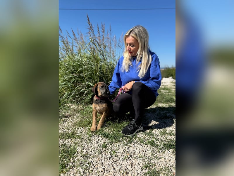 Skadi - jung, neugierig und bereit für ihr eigenes Zuhause