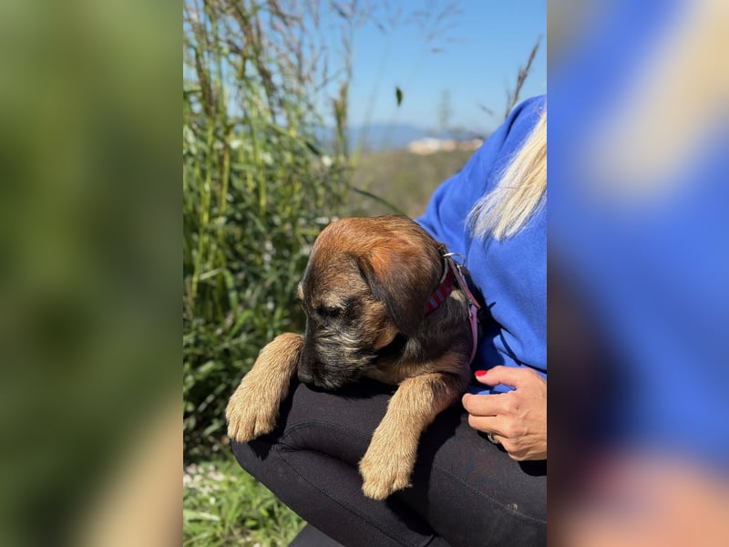 Skadi - jung, neugierig und bereit für ihr eigenes Zuhause