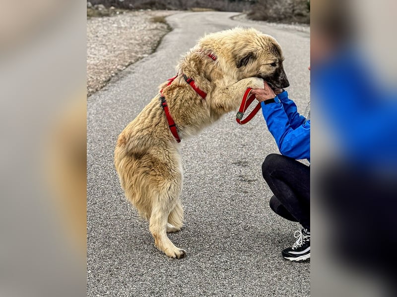 Liesa sucht ihr großes Glück
