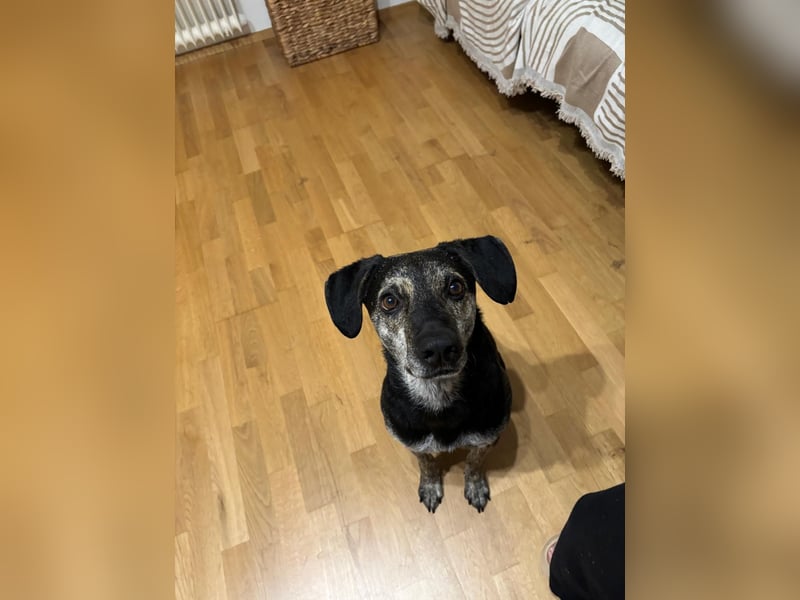 Nocino wartet in München