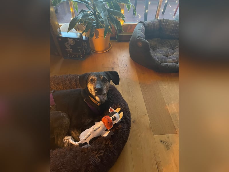 Nocino wartet in München