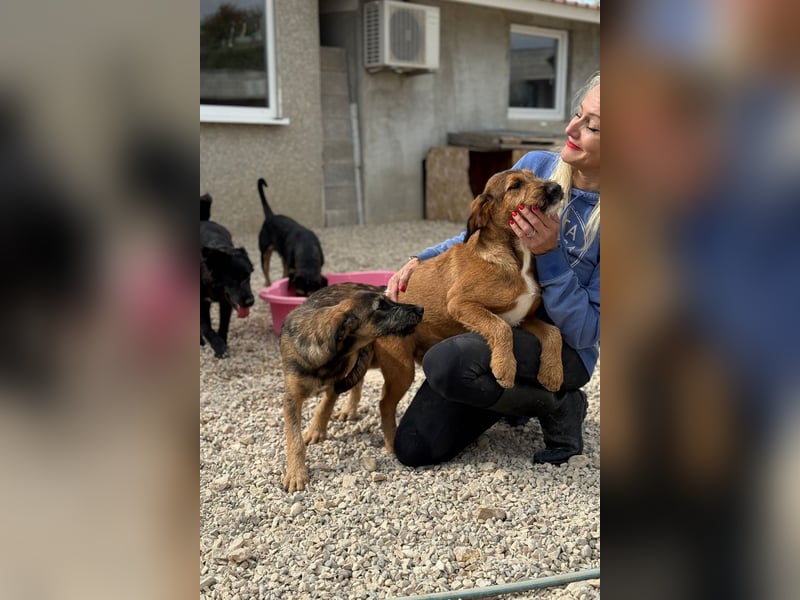 Skadi - jung, neugierig und bereit für ihr eigenes Zuhause