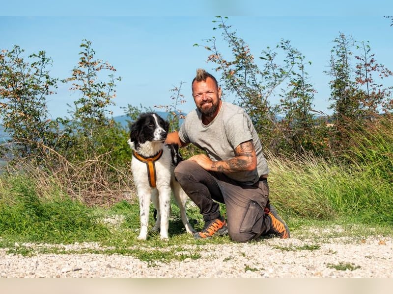 Morrisson sucht sein großes Glück