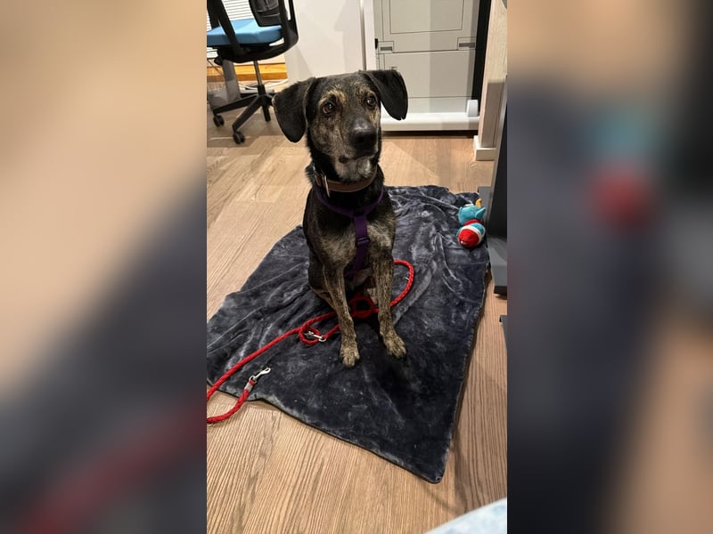 Nocino wartet in München