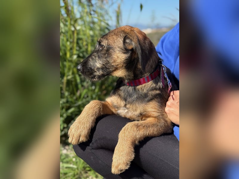 Skadi - jung, neugierig und bereit für ihr eigenes Zuhause