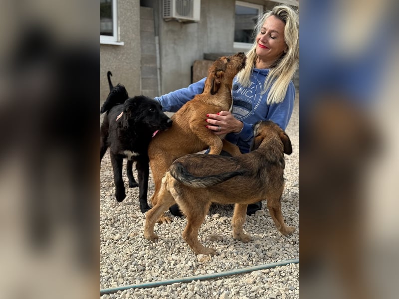 Skadi - jung, neugierig und bereit für ihr eigenes Zuhause