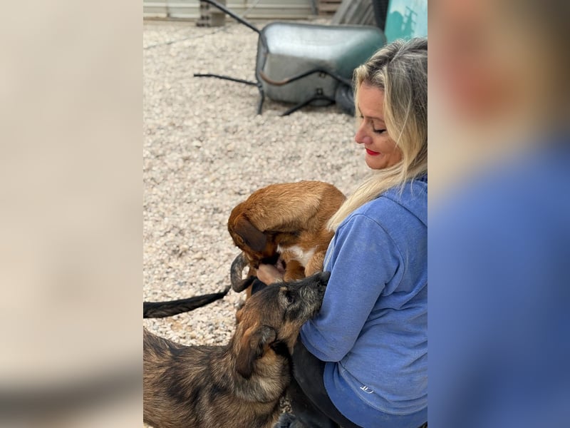 Skadi - jung, neugierig und bereit für ihr eigenes Zuhause