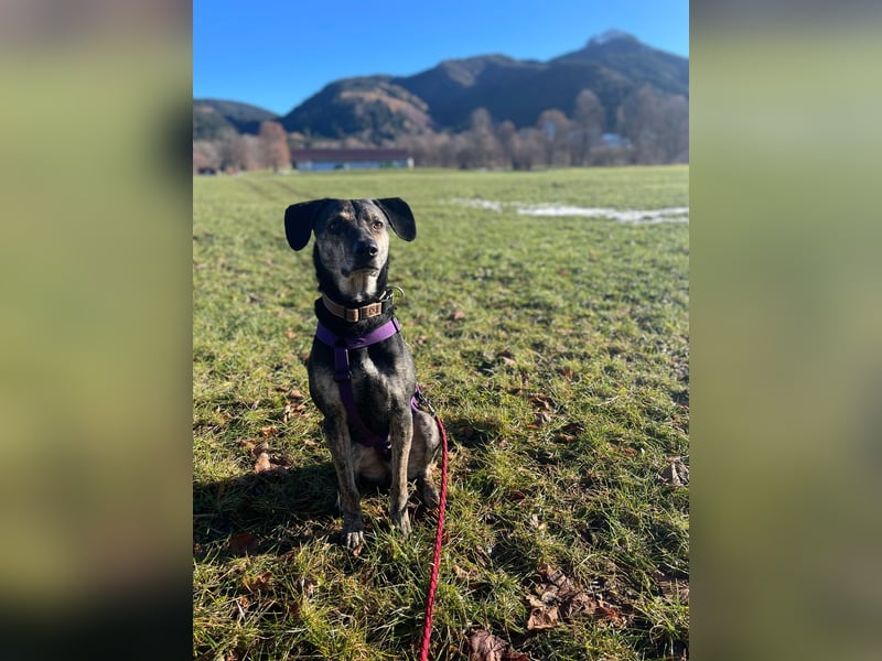 Nocino wartet in München