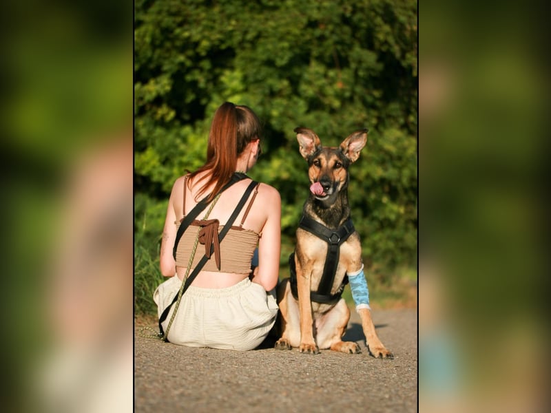 Charlyn - ruhige Hündin sucht ihre Bezugspersonen