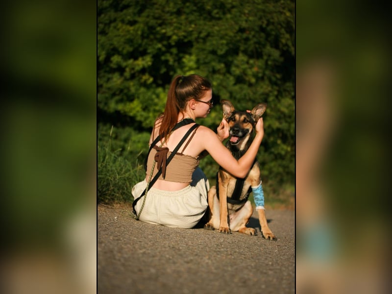 Charlyn - ruhige Hündin sucht ihre Bezugspersonen