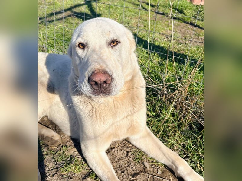 Hera LM Raus aus dem Heim rein ins Herz
