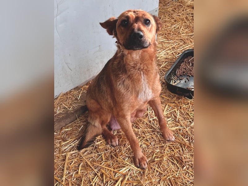 Cuki LM Raus aus dem Heim rein ins Herz