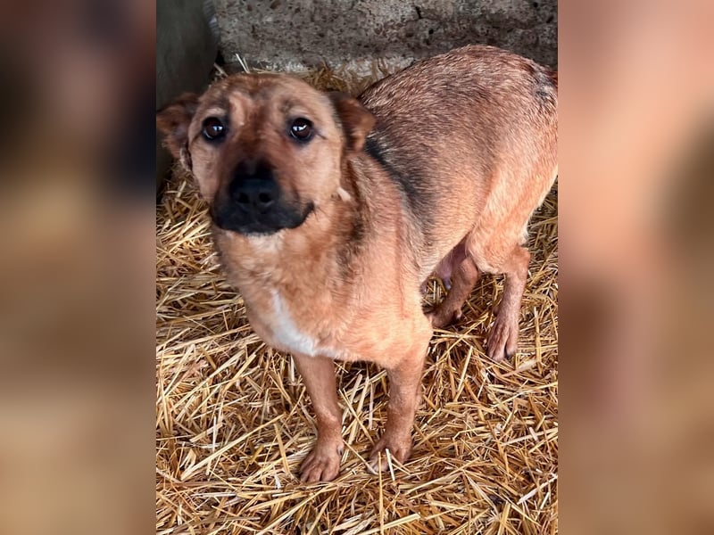 Cuki LM Raus aus dem Heim rein ins Herz