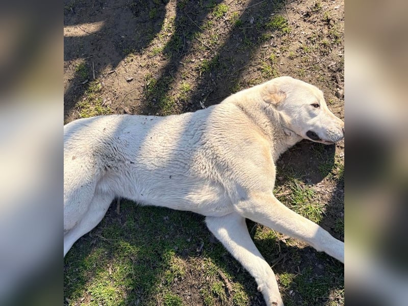 Hera LM Raus aus dem Heim rein ins Herz