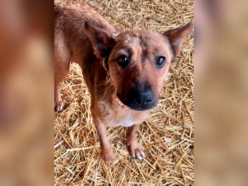 Cuki LM Raus aus dem Heim rein ins Herz