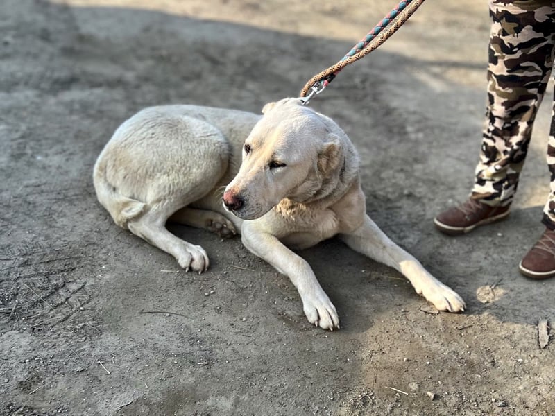 Hera LM Raus aus dem Heim rein ins Herz