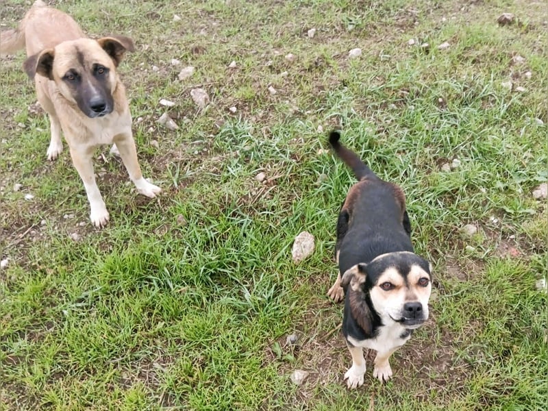 Wer hat das schönste Lächeln - Smile 