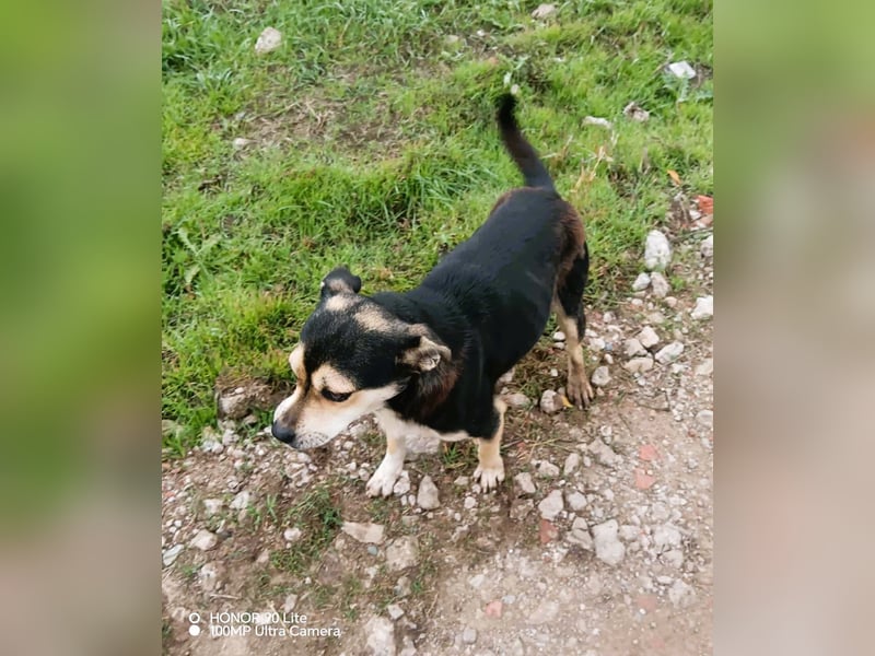 Wer hat das schönste Lächeln - Smile 