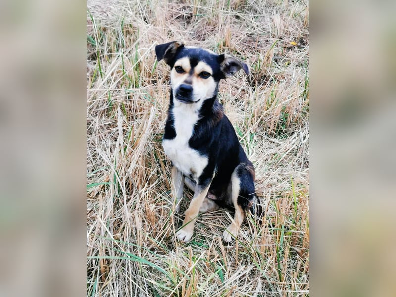 Wer hat das schönste Lächeln - Smile 