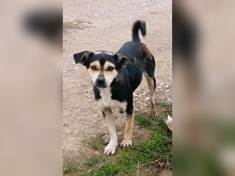 Wer hat das schönste Lächeln - Smile 