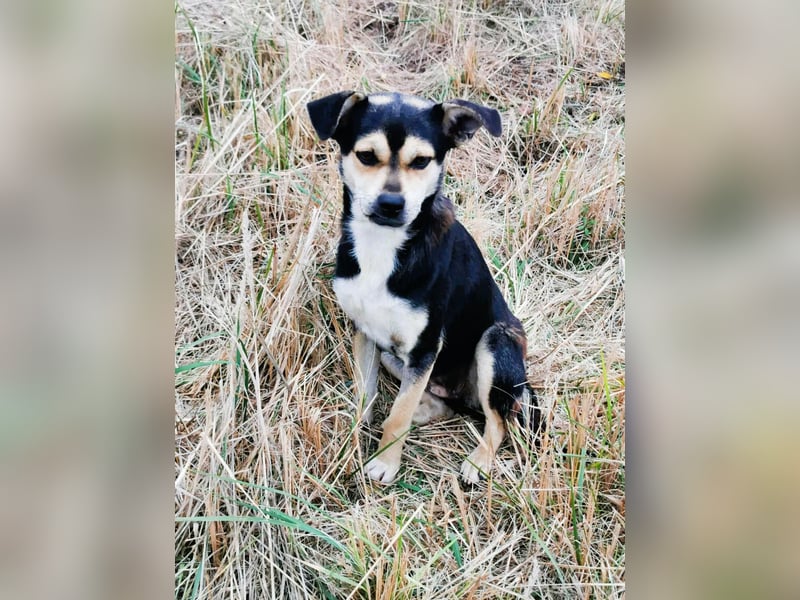 Wer hat das schönste Lächeln - Smile 